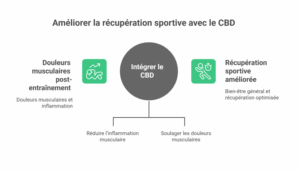 Comment intégrer le cannabidiol dans votre routine après l’entraînement